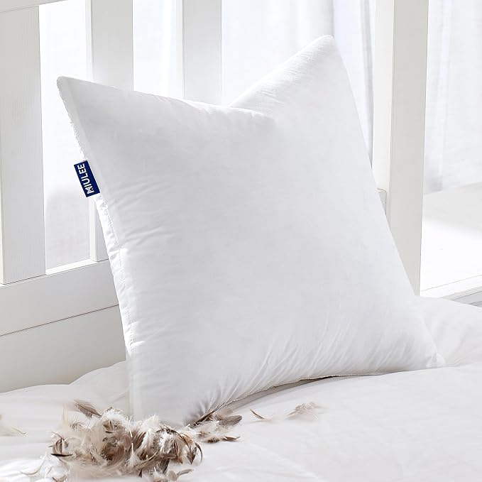 Decorative Pillows