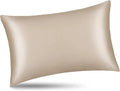 ALASKA BEAR Natural Silk Pillowcase, Hypoallergenic, 19 Momme, 600 Thread Count by ALASKABEAR
