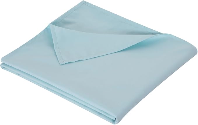 Twin Flat Sheet Only，66x96Inch Light Blue by Hotella