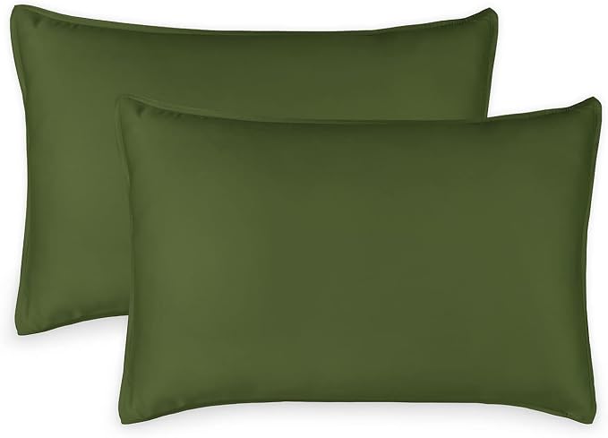 Queen Pillowcases by Pure Bamboo, Genuine 100% Organic Viscose Derived from by PureBamboo