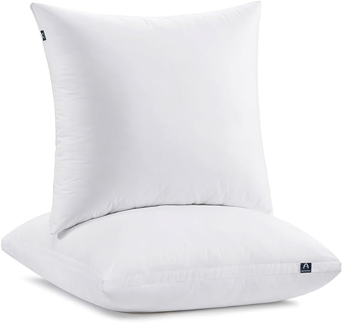 ACCURATEX Euro Pillows Set of 2 by ACCURATEX