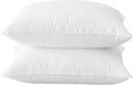 BHZ Goose Down Feather Pillows Queen Size Set of 2, Hotel Collection Bed Pillows by BHZHouseholdProducts