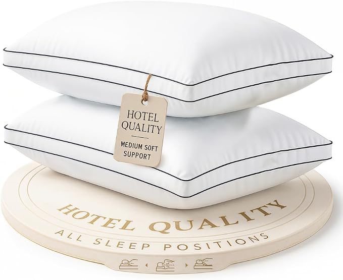 Lane Linen King Size Pillows Set of 2 by LaneLinen