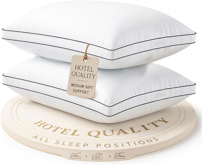 LANE LINEN Bed Pillows Queen Size Set of 2 by LaneLinen