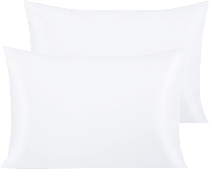 NTBAY Egyptian Cotton Queen Pillowcases by NTBAY
