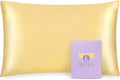OLESILK 100% Mulberry Silk Toddler Pillowcase by OLESILK