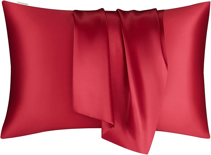DISANGNI 100% Natural Mulberry Silk Pillow case by DISANGNI