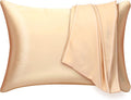 Mulberry Silk Pillowcase 2 Pack by FAWAOTIN
