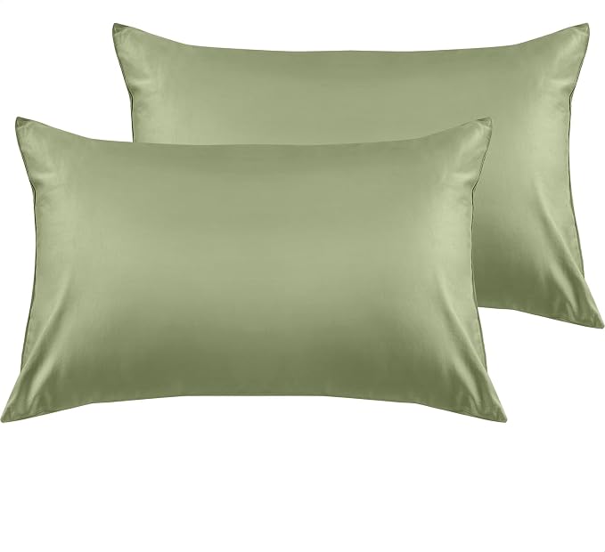 Warmstar Cotton Pillow Cases King Size Set of 2, 600 Thread Count Pillowcases by Warmstar