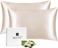 Ravmix Silk Pillow Cases 2 Pack by Ravmix