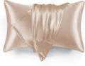 Love's cabin Satin Pillowcase Set of 2 Standard Size 20x26, Cooling Pillow by Lovescabin