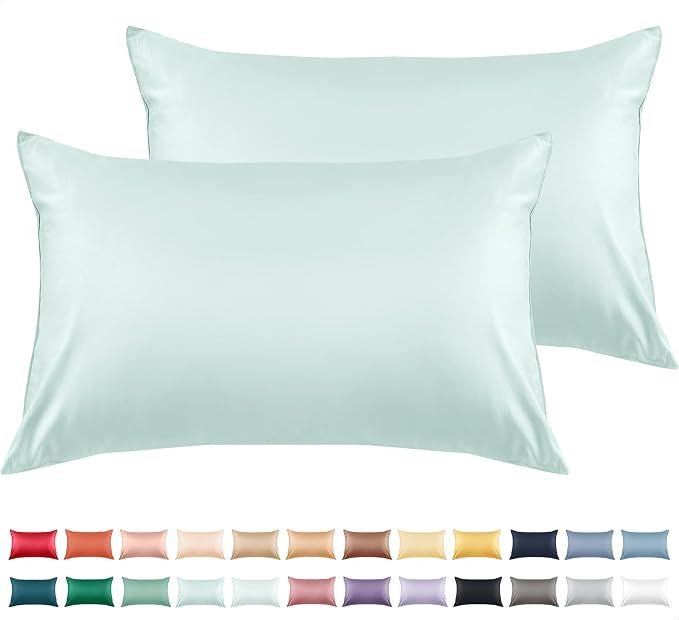 Warmstar Cotton Pillow Cases Queen Size Set of 2, 600 Thread Count Pillowcases by Warmstar