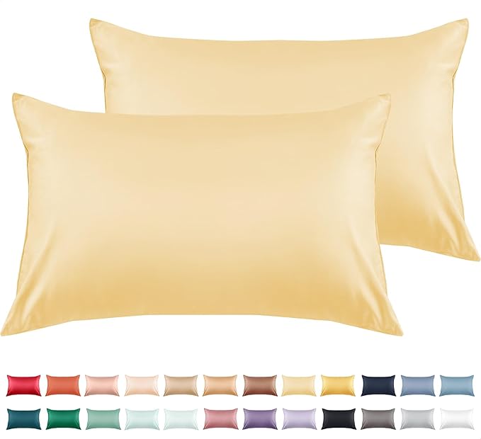 Warmstar Cotton Pillow Cases Queen Size Set of 2, 600 Thread Count Pillowcases by Warmstar