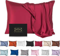 Mulberry Silk Pillowcase for Hair and Skin, Queen Size Cooling Silk Pillow Case by SIYUAN