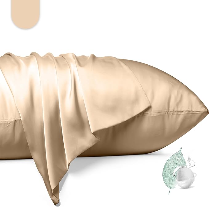 100% Mulberry Silk Pillowcase 2 Pack, Standard Size Silk Pillow Cases by Unknown