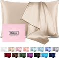 Silk Pillow Cases Mulberry Silk Pillowcases Both Sided Natural Silk Pillowcase by Casbrove