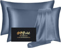 Silk Pillowcase 2 Pack, Natural Mulberry Silk Pillow Case, Anti Acne Silk by HOME