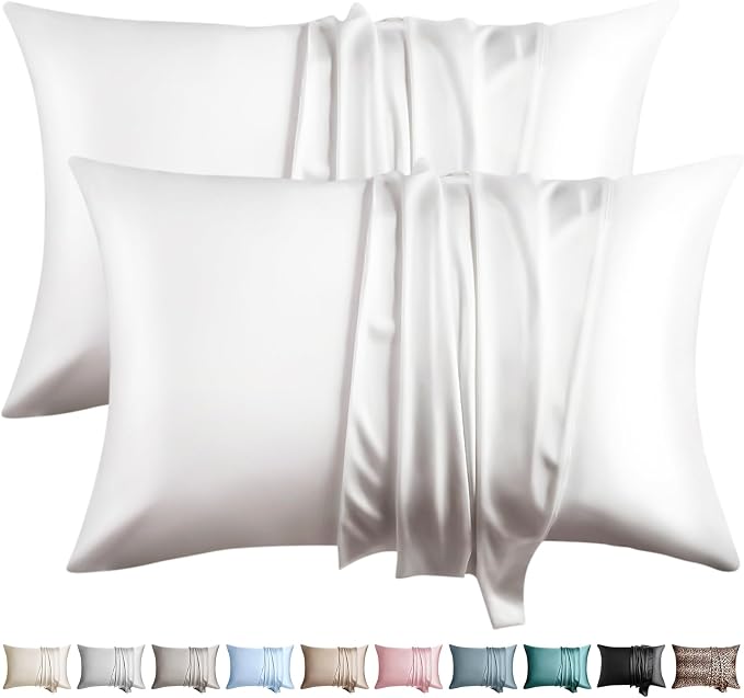 100% Silk Pillow Cases 2 Pack King Size Mulberry Silk Pillowcase by WLOSJ