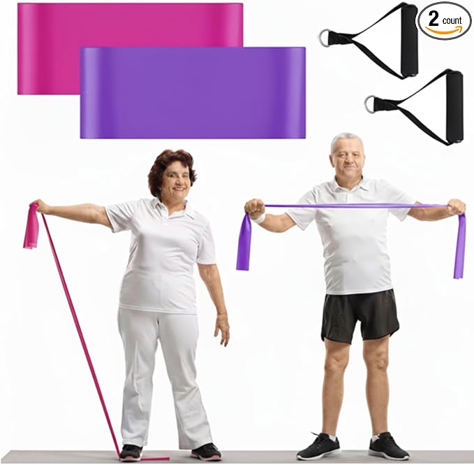 2 Pcs Resistance Band with Handles Chair Exercise Equipment by Relaxgiant
