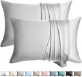 100% Silk Pillow Cases 2 Pack Queen Size Mulberry Silk Pillowcase by WLOSJ