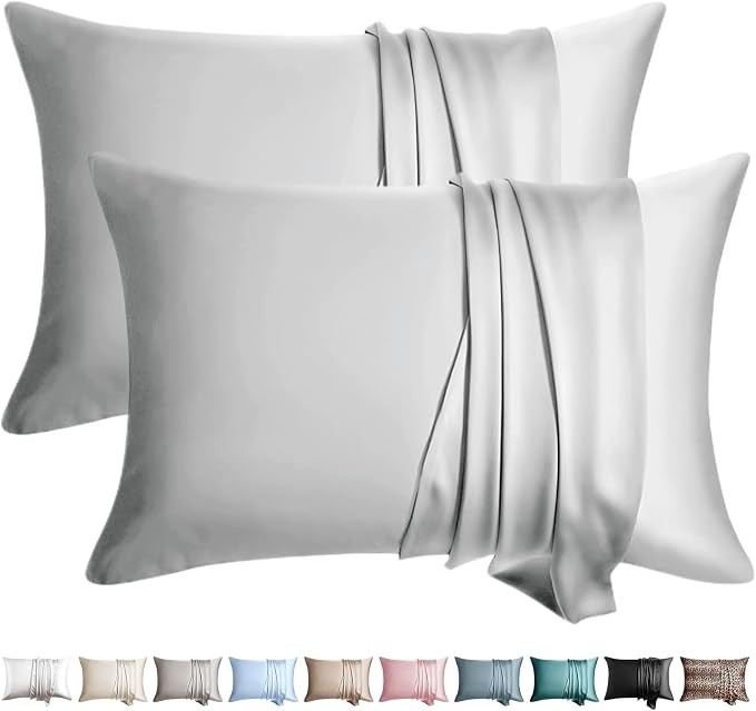 100% Silk Pillow Cases 2 Pack Standard Size Mulberry Silk Pillowcase by WLOSJ