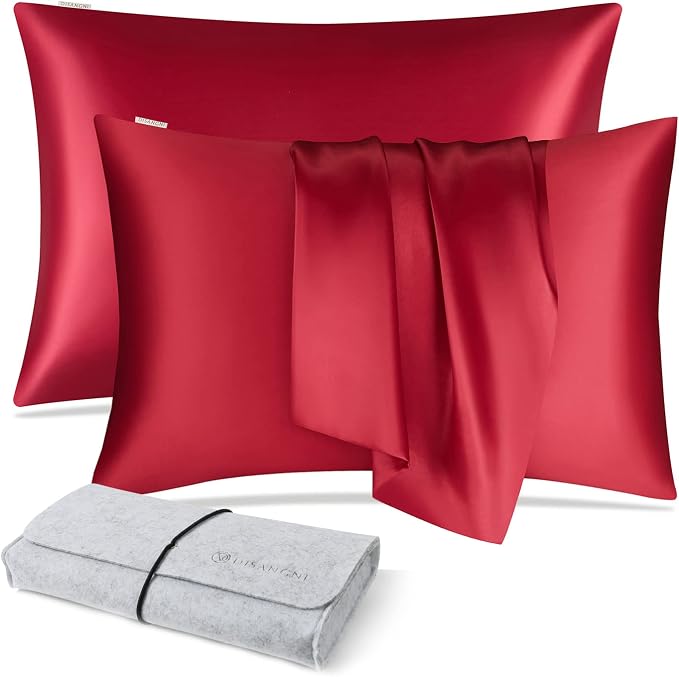 DISANGNI 100% Natural Mulberry Silk Pillow case by DISANGNI
