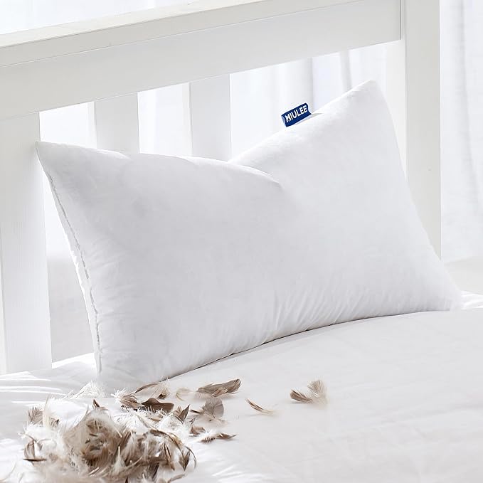 MIULEE Feather Pillow Insert 12x20, Decorative Down Throw Pillow Insert Fluffy by MIULEE