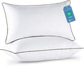JOLLYVOGUE King Size Pillows Set of 2 by JOLLYVOGUE