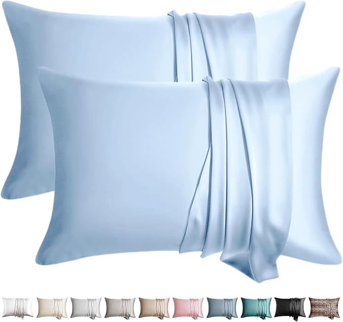 100% Silk Pillow Cases 2 Pack King Size Mulberry Silk Pillowcase by WLOSJ