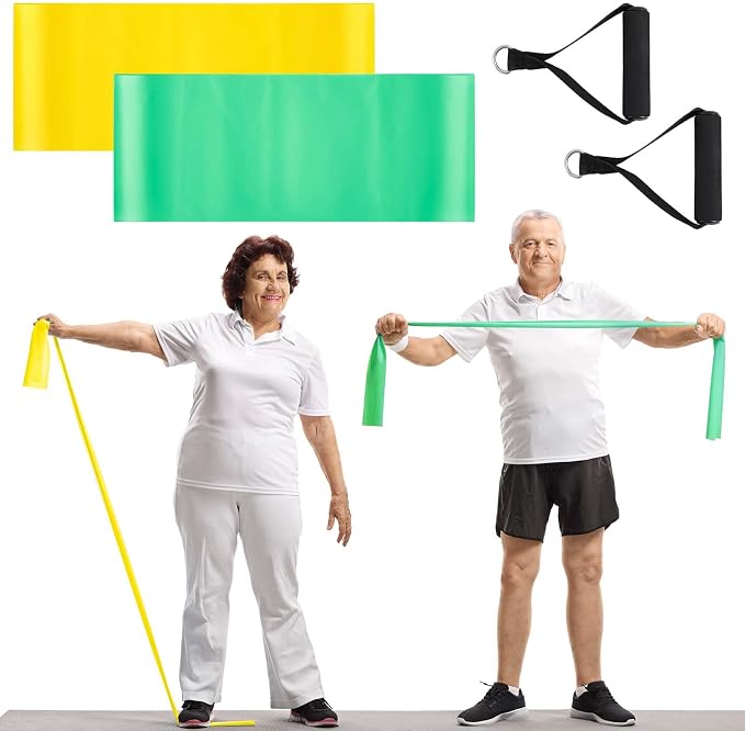 2 Pcs Resistance Band with Handles Chair Exercise Equipment by Relaxgiant