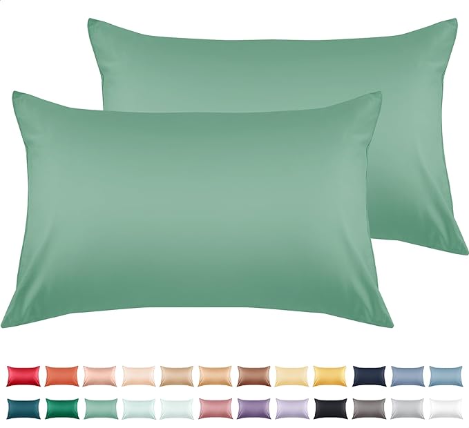 Warmstar Cotton Pillow Cases King Size Set of 2, 600 Thread Count Pillowcases by Warmstar