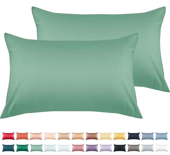Warmstar Cotton Pillow Cases Queen Size Set of 2, 600 Thread Count Pillowcases by Warmstar