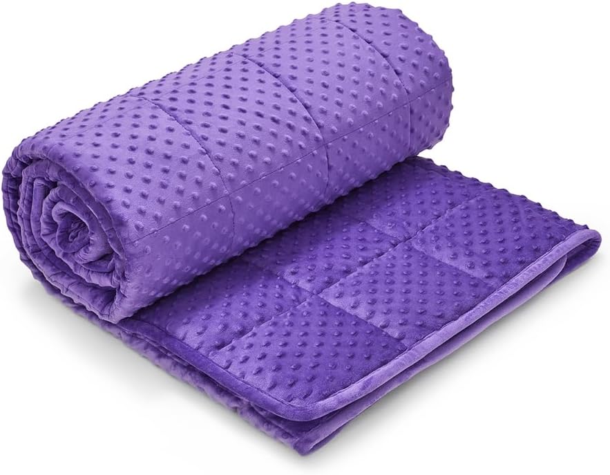 TONGDADA Minky Weighted Blanket | 40''x60'', 10lbs | Cozy and Soft Minky - Image 3