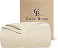 Cozy Bliss Cooling Comforter Queen Size, Reversible Lightweight Cooling Blankets by CozyBliss