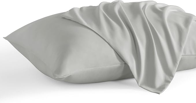 NTBAY Standard Pillow Cases Set of 2, 2 Pack Brushed Microfiber 20x26 Pillow by NTBAY