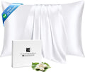 Ravmix 100% Silk Pillow Case by Ravmix