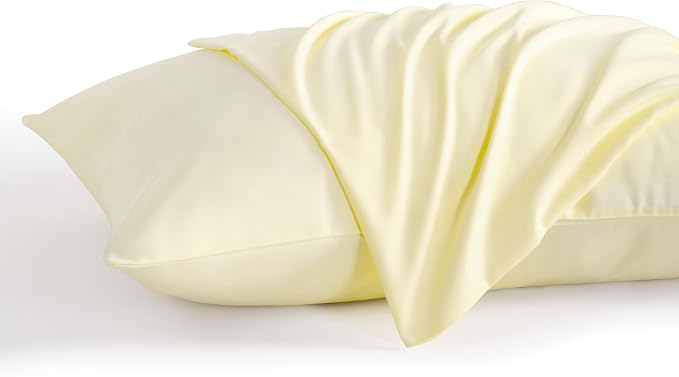 NTBAY Queen Pillow Cases Set of 2, 2 Pack Brushed Microfiber 20x30 Pillow Cases by NTBAY
