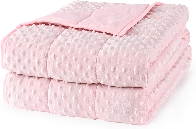 Mr. Sandman Weighted Blanket for Adults Queen, Minky Dots Heavy Blanket for by MrSandman