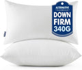 MIULEE Throw Pillows Inserts by MIULEE