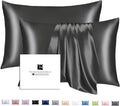Ravmix Silk Pillow Cases 2 Pack by Ravmix