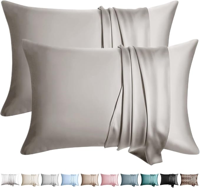 100% Silk Pillow Cases 2 Pack Queen Size Mulberry Silk Pillowcase by WLOSJ