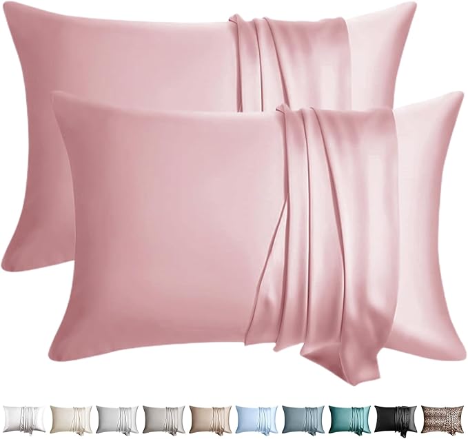 100% Silk Pillow Cases 2 Pack Standard Size Mulberry Silk Pillowcase by WLOSJ