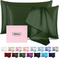 Mulberry Silk Pillow Cases 2 Pack by Casbrove