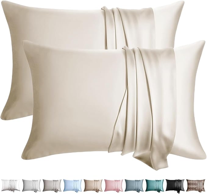 100% Silk Pillow Cases 2 Pack King Size Mulberry Silk Pillowcase by WLOSJ