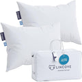 Lincove Cloud Natural Canadian Down Pillow, 100% Cotton Shell, 500 Thread Count by Lincove