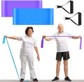 2 Pcs Resistance Band with Handles Chair Exercise Equipment by Relaxgiant