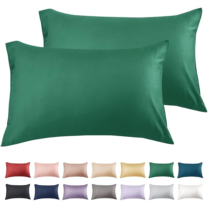 Warmstar Cotton Pillow Cases Queen Size Set of 2, 600 Thread Count Pillowcases by Warmstar