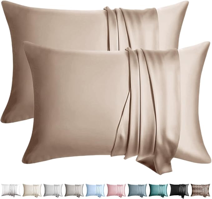 100% Silk Pillow Cases 2 Pack Queen Size Mulberry Silk Pillowcase by WLOSJ