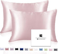 Ravmix Silk Pillow Cases 2 Pack by Ravmix