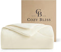 Cozy Bliss Cooling Comforter Twin Size, Reversible Lightweight Cooling Blankets by CozyBliss